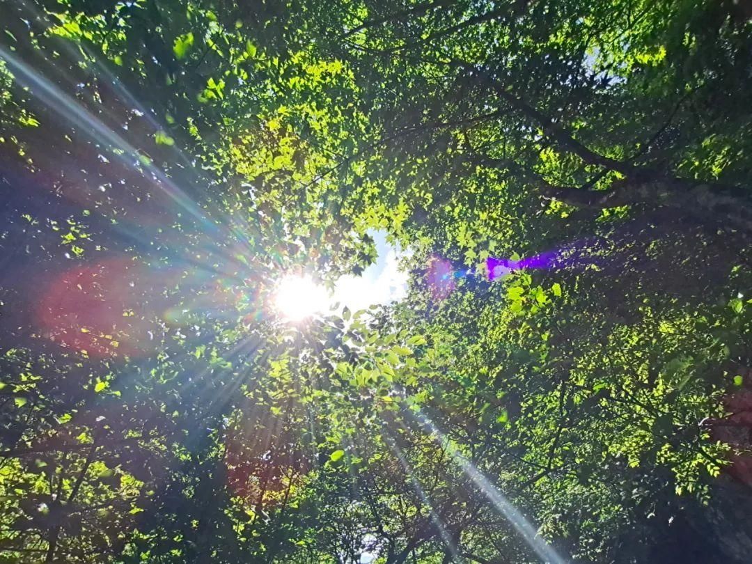 汉江|从0℃到100℃，感受汉江之源的温度…