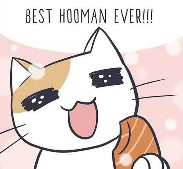  生鱼片|奇趣漫画：土豪在寿司店遇到猫咪，准备顶级的生鱼片招待它