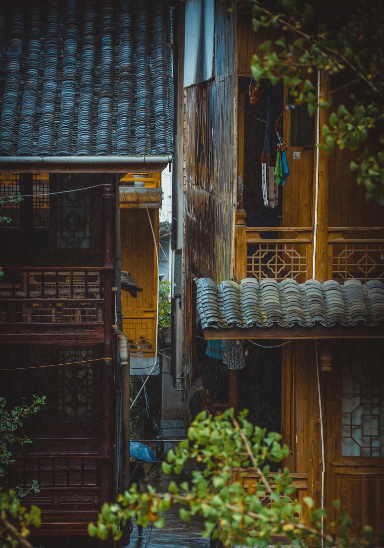  瞒不住|完了！雅安遍地大熊猫的事瞒不住了