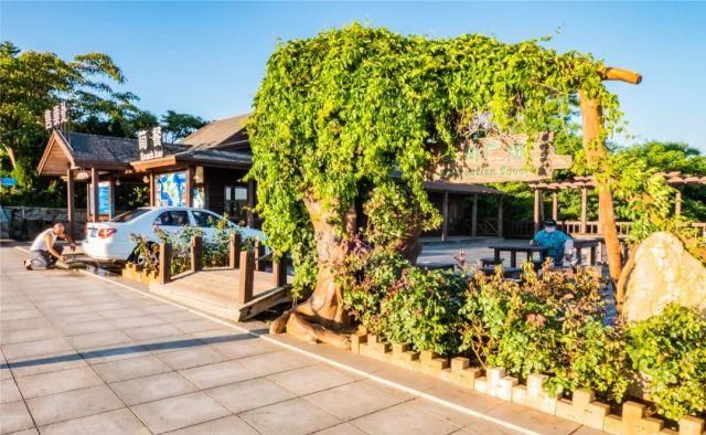 景观|王八喝水，恐龙探海？景观命名，学问太大！