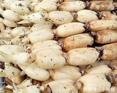  区分|买莲藕时，注意区分七孔和九孔莲藕，口味天差地别，买错遭埋怨