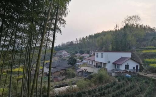 生活|有感于故乡的小村落