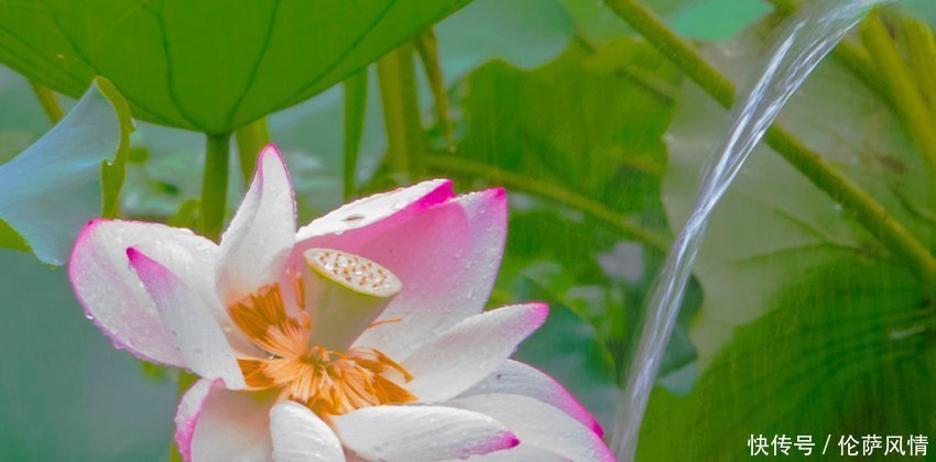 生肖|婚前婚后两个样的三生肖男,婚前贪玩不懂事,婚后努力赚钱还顾家