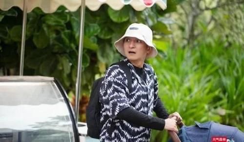  西瓜|王鹤棣的西瓜头、杨洋的婴儿车，这档综艺节目脑洞太大了！