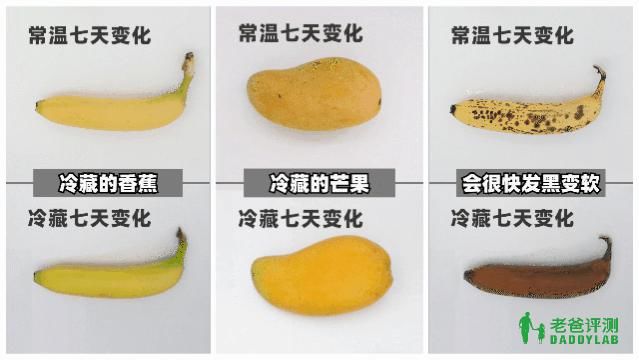  冰箱|这些食物不能放冰箱！你还不知道？