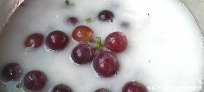 盐水|洗葡萄用盐水就错了,等于吃虫卵,教你2个技巧,虫卵跑光光