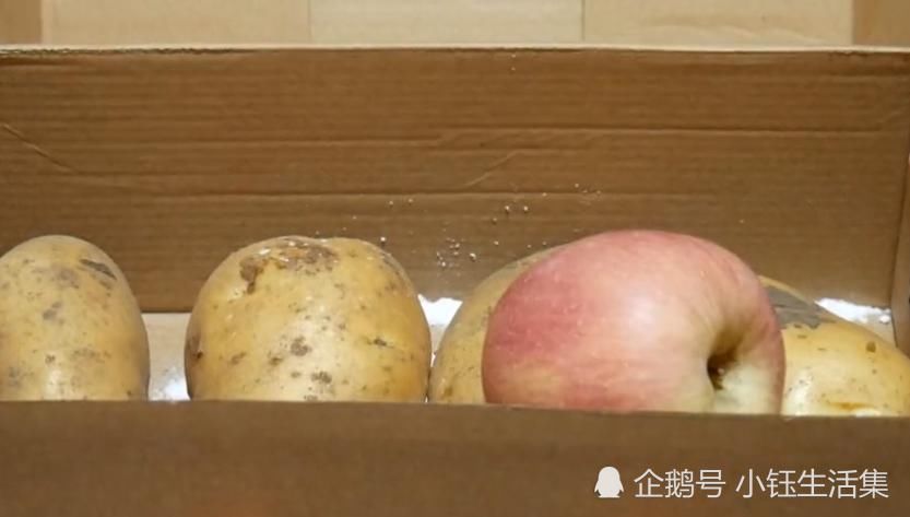  发芽|才知道，土豆要这样保存，不发芽也不腐烂，放一年都不坏