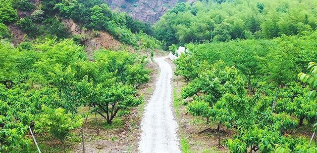  石头|从“灰脏秃”到“绿富美” 吴兴这个“石头村”大翻身