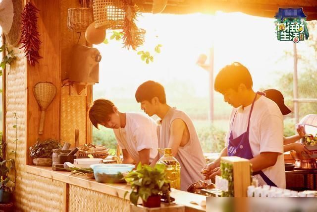 向往的生活|《向往4》的录制到底有多累看清胡先煦脖子上的肤色对比就明白