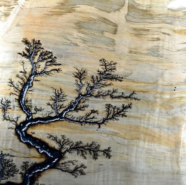  活久|30张“活久未见”的照片：被闪电击中的木头，好像一副国画