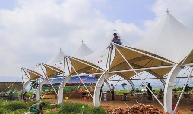  山镇|藏在宝山镇的美丽花园，不仅大丽花花开迷人眼，更有牡丹玉笑珠香