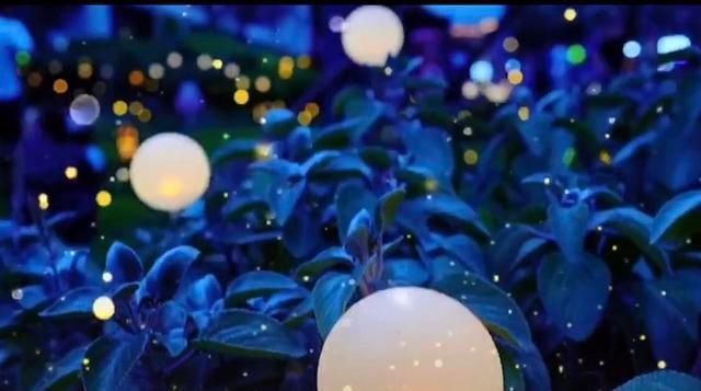  枣子|四处观察vlogger?有“萤火虫”的枣子巷 是你记忆中的样子吗？