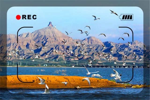  生意|一个40岁的人生意失败亏掉上千万，现在负债累累，如何重新开始？