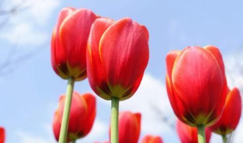  中旬|实不相瞒：九月中旬，桃花财运同来，财运升温，发达一整年的属相