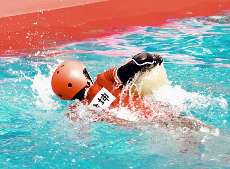  不少人|蔡徐坤《跑男》下水，“脱妆”截图照火了，这脸确定有21岁？