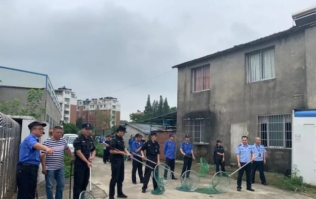  发狂|比特犬无人牵引发狂咬人！特警大队民警当场予以击毙