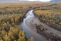 供应链|依安县：小土豆带来大收益