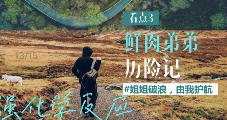 喊话|姐姐们刚成团团综就安排上了?拟邀顶流小生,网友直接喊话杨洋