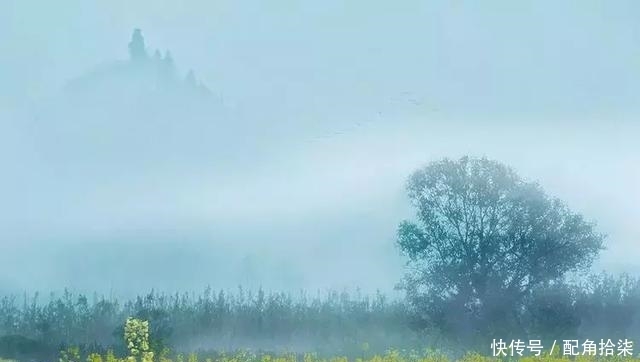  祖先|清明为什么要祭祖？这是我听过最好的答案