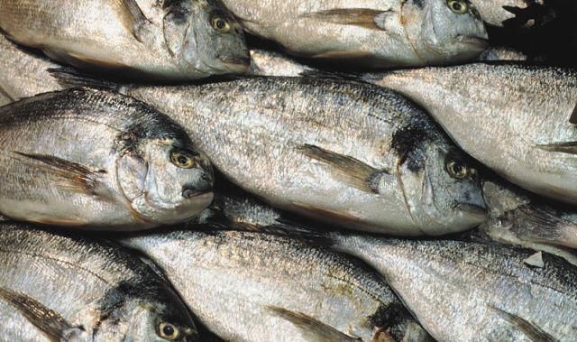  曹妃甸|唐山曹妃甸因她而得名，揭秘曹妃的传奇故事，海上渔民的守护海神