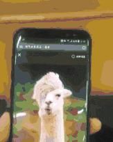  人生|搞笑GIF：孩子或许这是你人生的巅峰，你要懂的珍惜