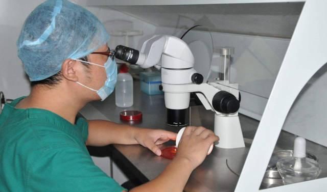  告诉|试管婴儿的寿命有多长？医生不会告诉你，但准妈妈最好心里有底