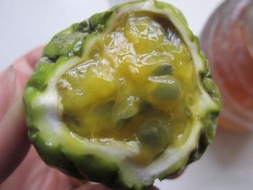 看着|此水果被称天然维生素C库,每天喝一杯看着变年轻,简单3步就做好