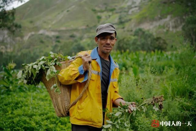  放弃|深山“荒村”留守者：放弃城市生活，放羊种菜为生