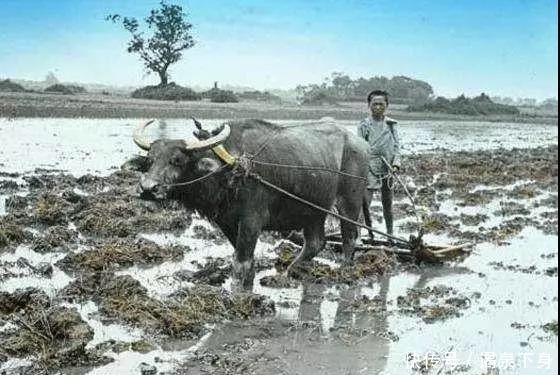 生活|罕见晚清上色老照片, 让你见识一下真实的晚清生活!