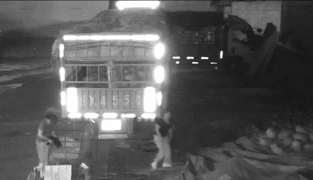 好吃|两女子多次深夜偷走同一摊位的西瓜 只因太好吃