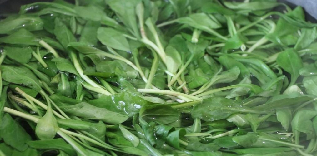 香油|马兰头是春天里的时令蔬菜,配上香干和香油,味道太香了