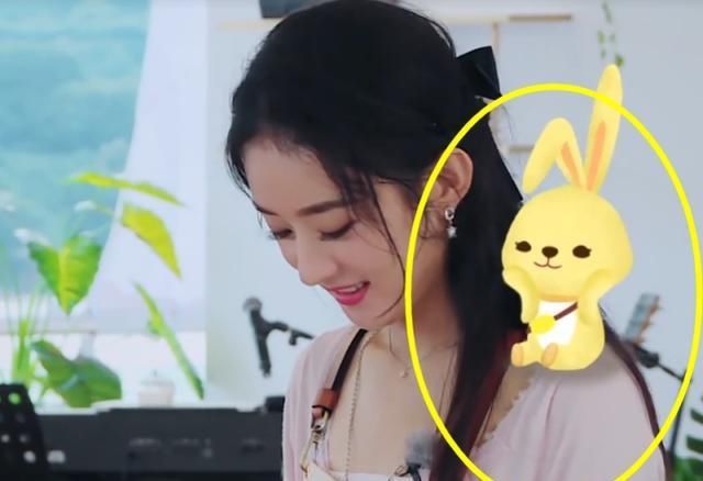  粉丝|中餐厅：赵丽颖一出镜身边就有兔子，得知真实含义，粉丝哭到哽咽