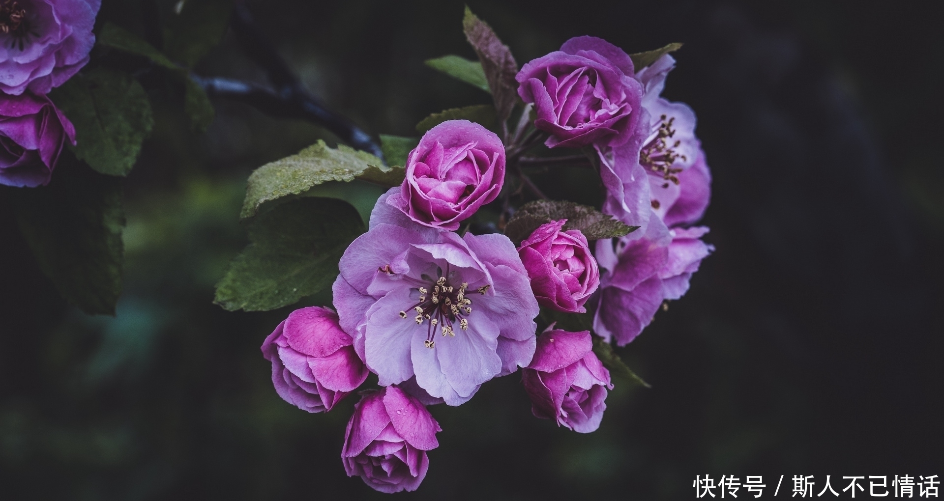 天天|算命的说, 10月财运与日俱增,3生肖日日进横财,生意天天好