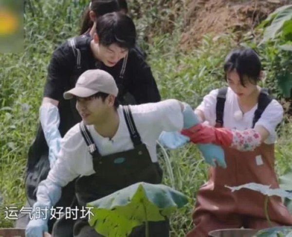  画面|《向往4》嘉宾努力干活，粉丝为爱豆们捏一把汗，我却留心远景画面