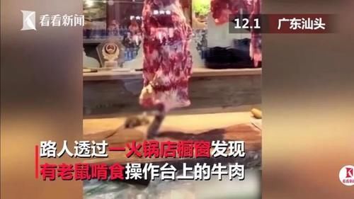  火锅|小龙坎制售2吨地沟油：地沟油卷土重来？不，它从未离开