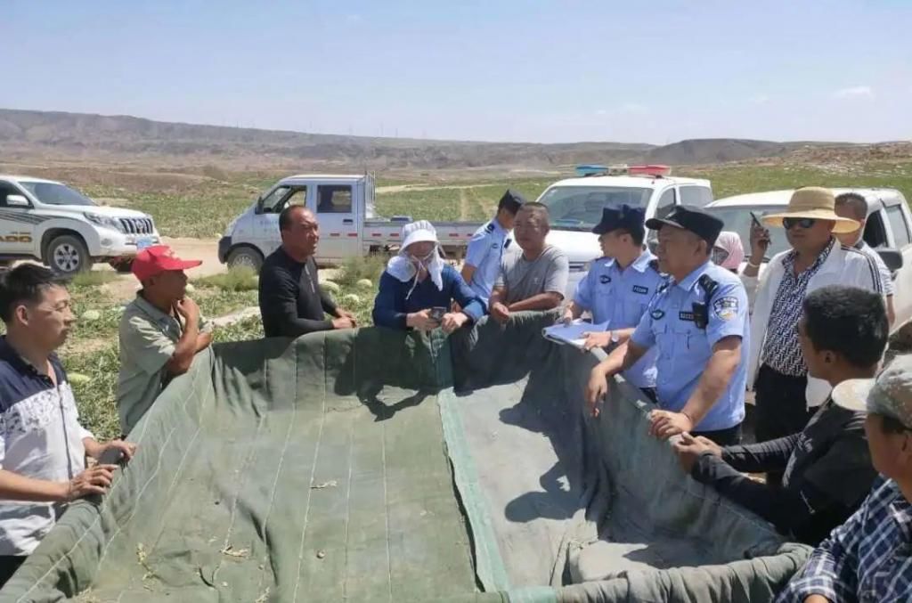  瓜地里|【中宁】隔壁瓜地的老王