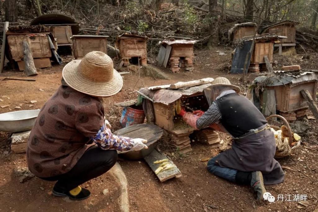 淅川|淅川脱贫档案解密:贾小民的脱贫之路