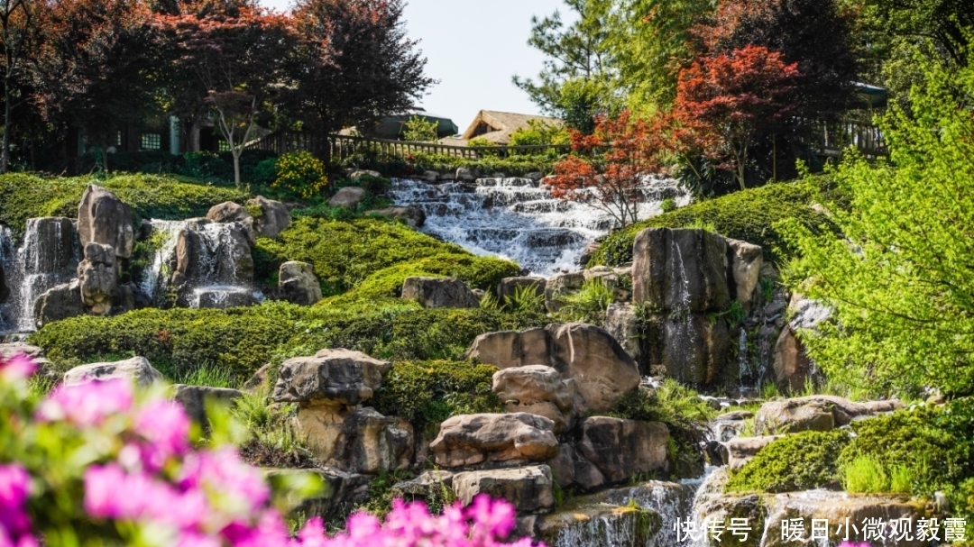  浅谈|浅谈秀丽东方IP对成都公园城市建设的借鉴作用