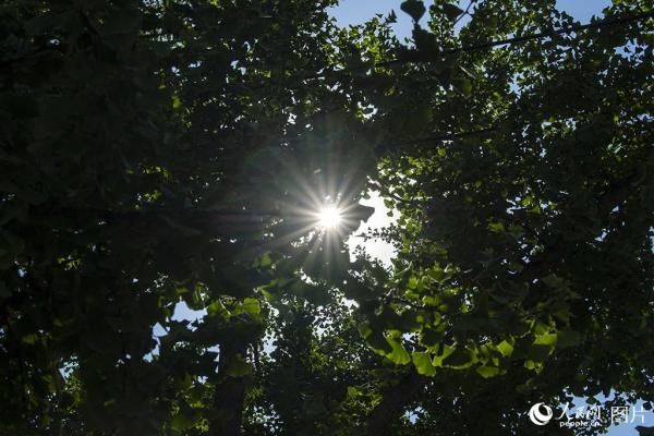 代表北京天气的南郊|热！今天北京最高温达37℃ 局地超40℃