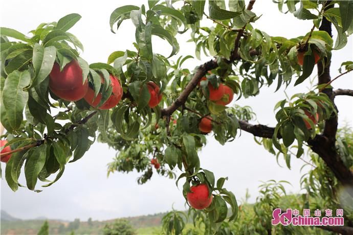  大山|记者在基层 | 一份来自大山深处的青春守望，一次洗涤心灵的“大山之旅”