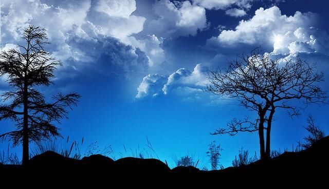  桃花运|8月开始吉星照耀，财运飙涨，事业棒桃花旺的生肖