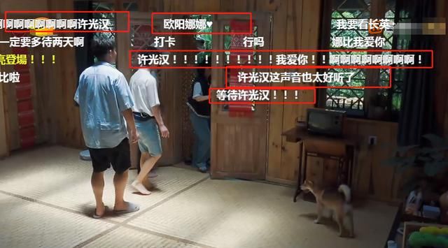  节目中|《向往》收视稳了，欧阳娜娜许光汉来袭，出场方式蘑菇屋第一人