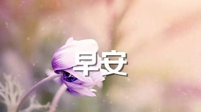 安心|早安心语：花有枯荣，人有起伏