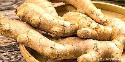 大葱大蒜|早餐生姜吃了20年,一道内心深处的美味