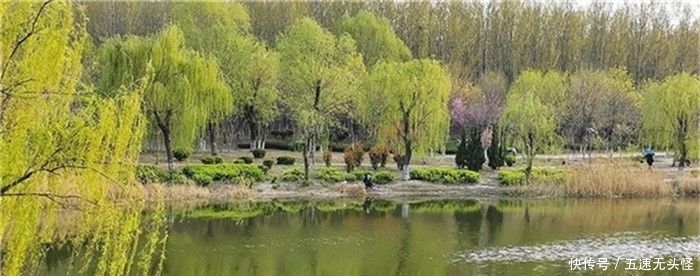 春光|全国特色小镇春光正好