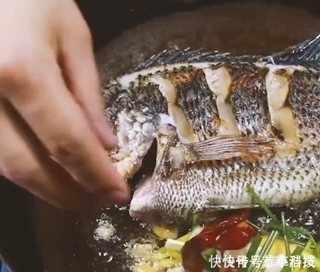 营养|唯一让中国吃货退却的鱼营养比甲鱼高,全身是宝,只要4元一斤
