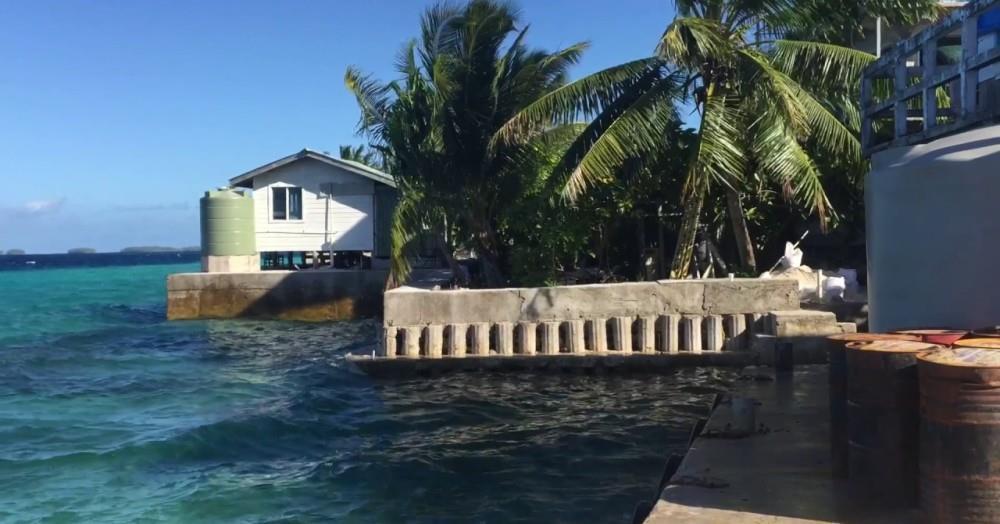 拥有|倒数第一经济体:靠太阳能发电人均拥有5头猪,居民全是双重国籍