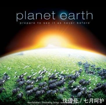 自然|推荐10部经典纪录片！暑假让娃涨知识