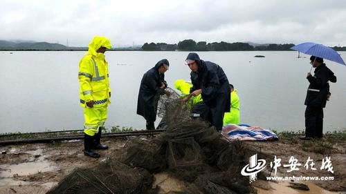  工作|枞阳：严打非法捕捞行为 行政处罚4人