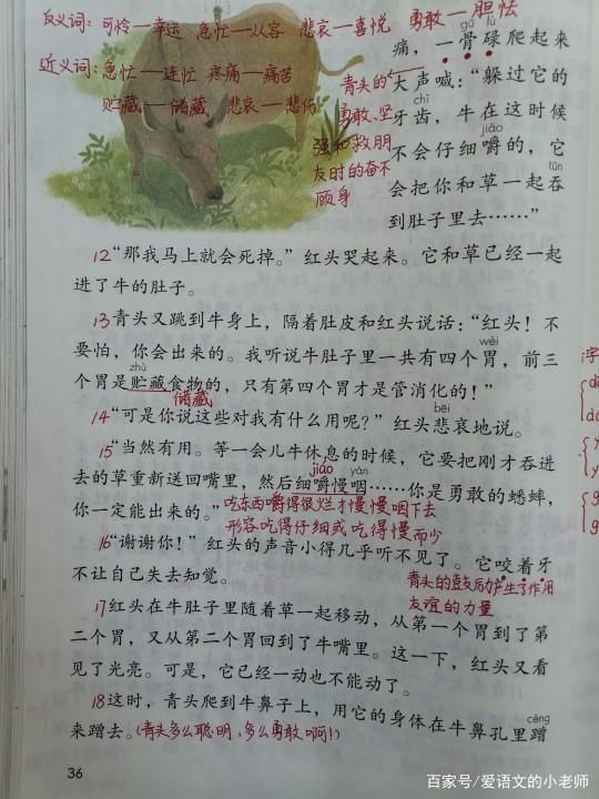  青头|三年级语文上册《在牛肚子里旅行》预习笔记，真的友谊是雪中送炭